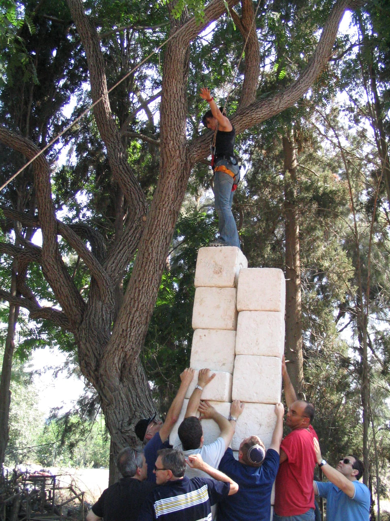 פעילות ODT קלאסית